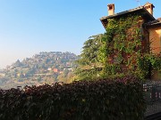 24 Da San Vigilio vista sul Monte Bastia